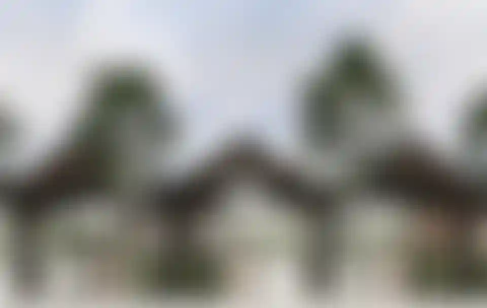 image for main block