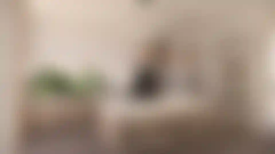 image for main block