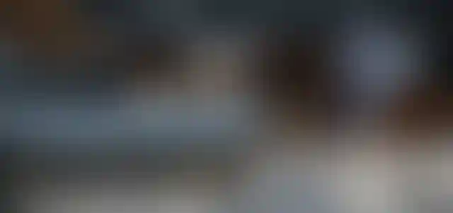 image for main block