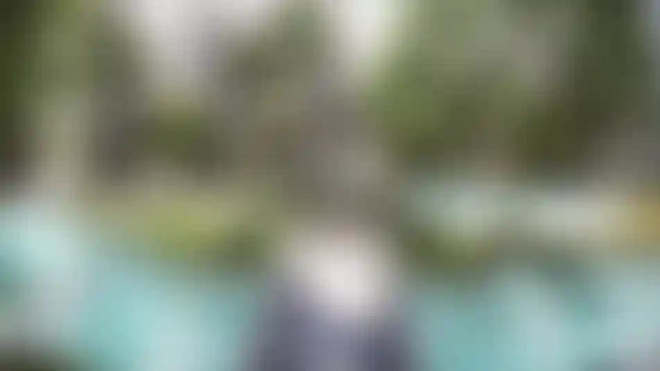 image for main block