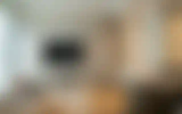 image for main block