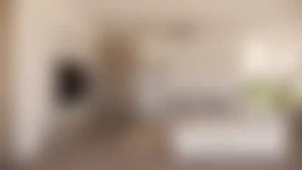 image for main block