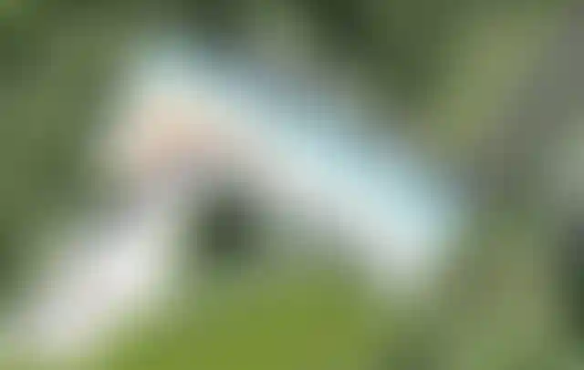 image for main block