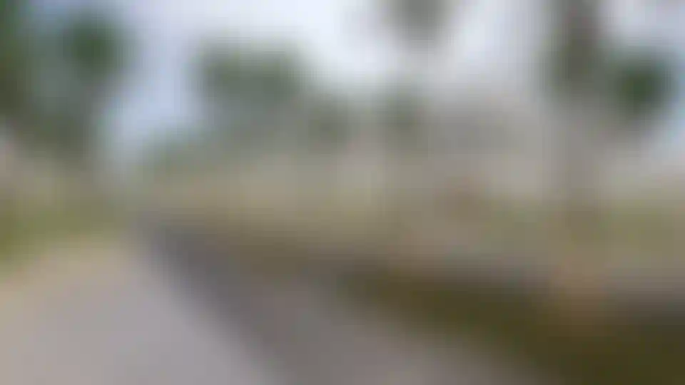 image for main block