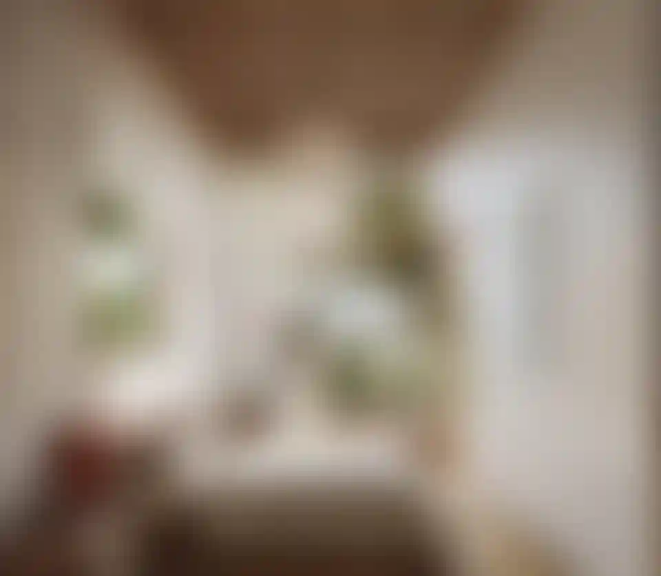 image for main block