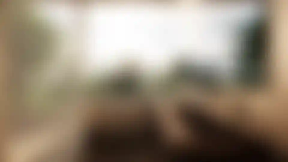 image for main block