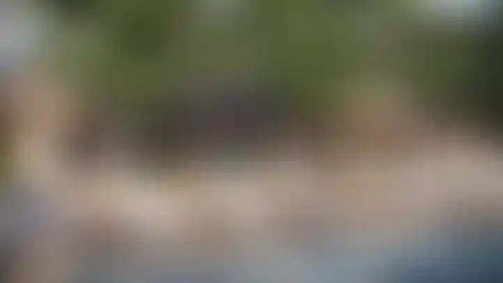 image for main block