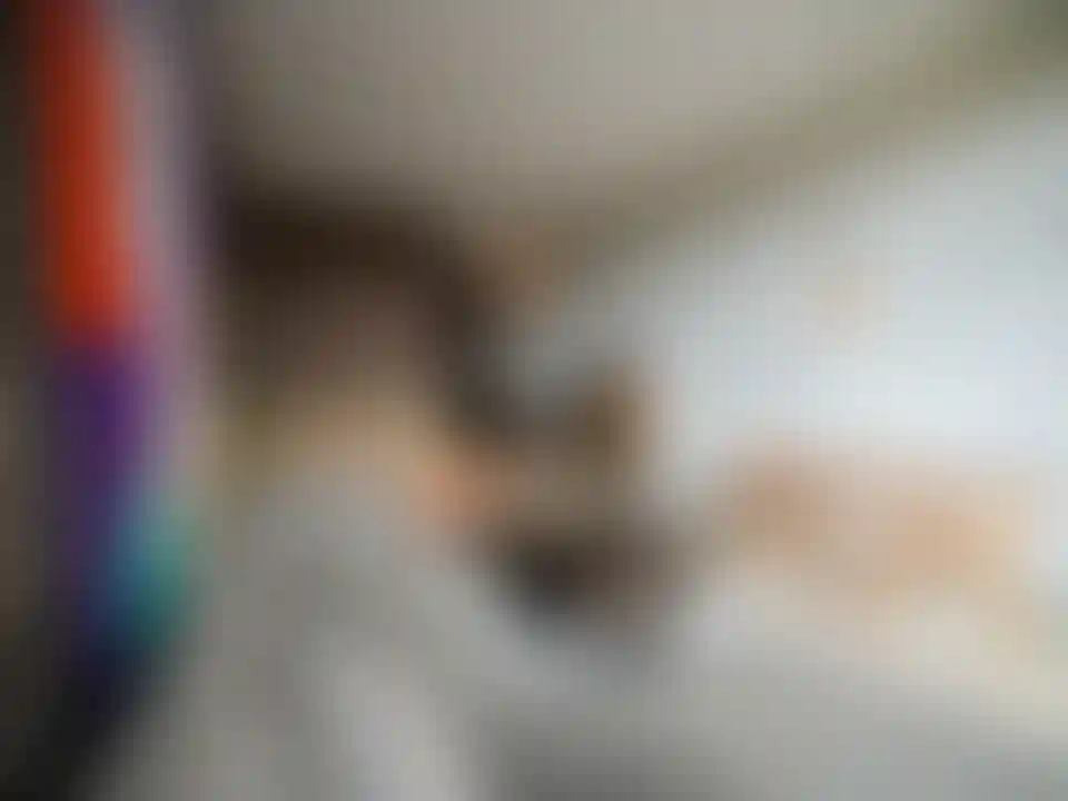 image for main block