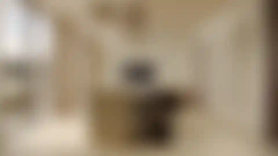 image for main block