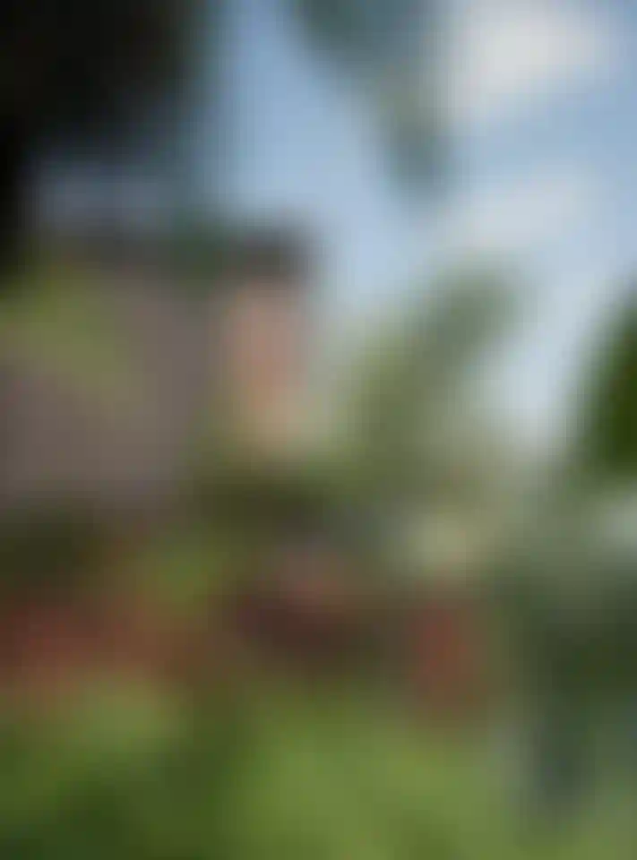 image for main block