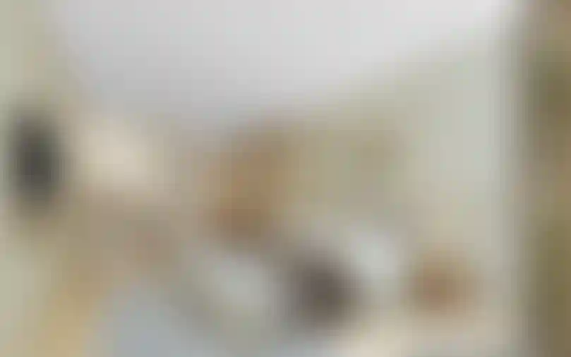 image for main block