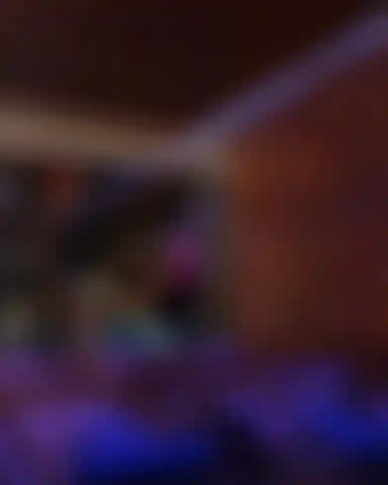 image for main block