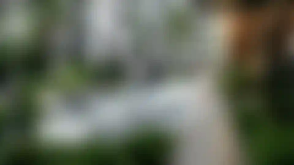 image for main block