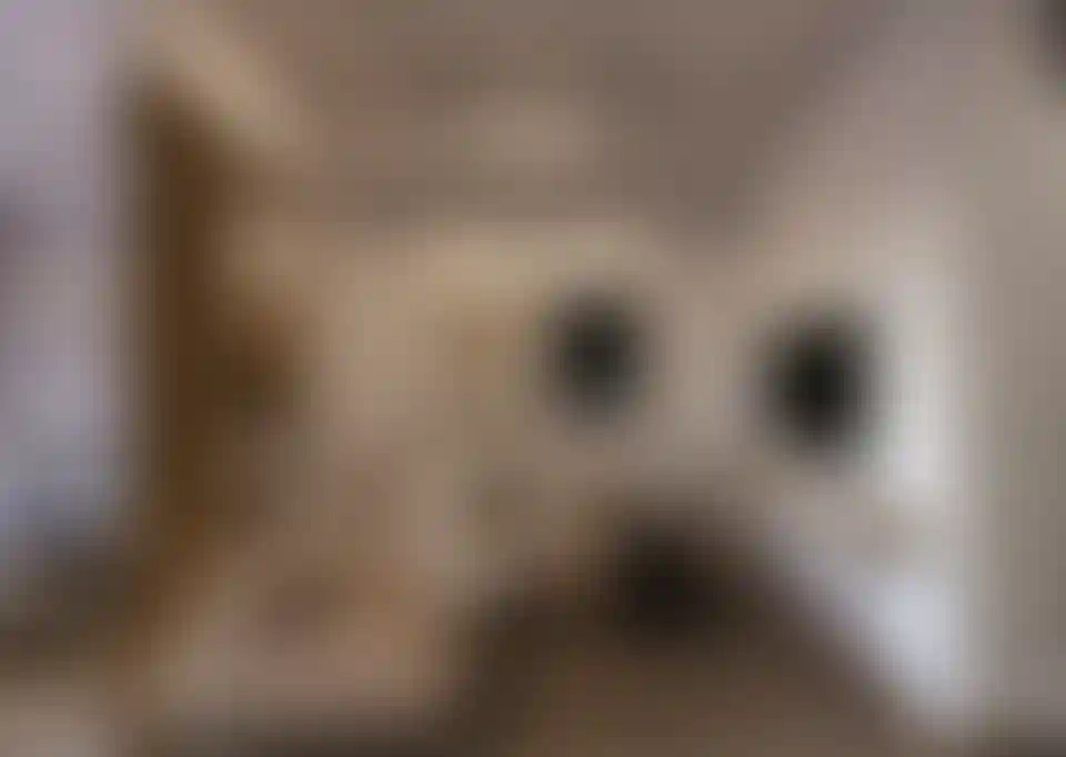 image for main block