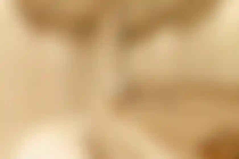 image for main block