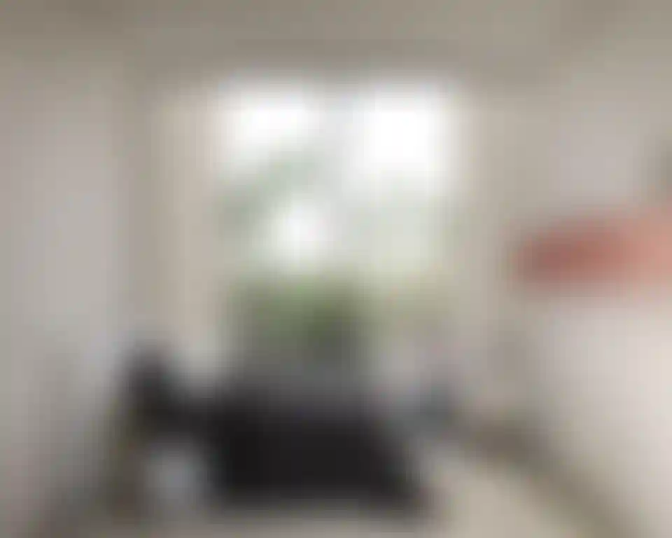 image for main block