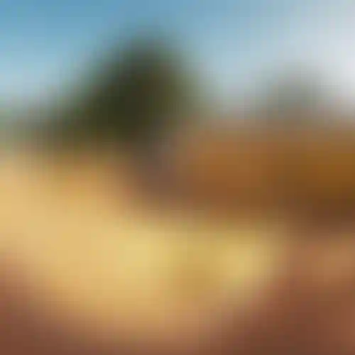 image for main block