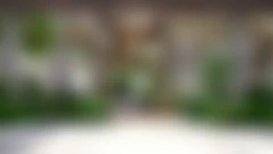 image for main block