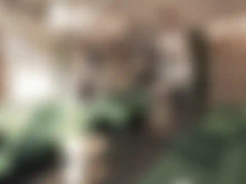 image for main block