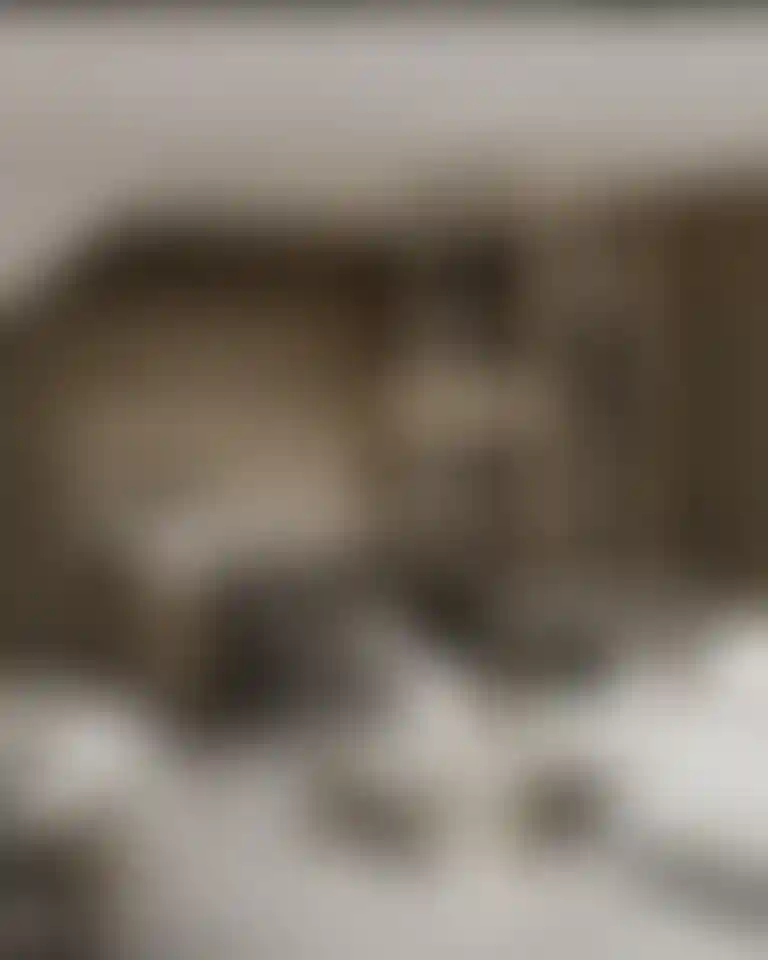 image for main block