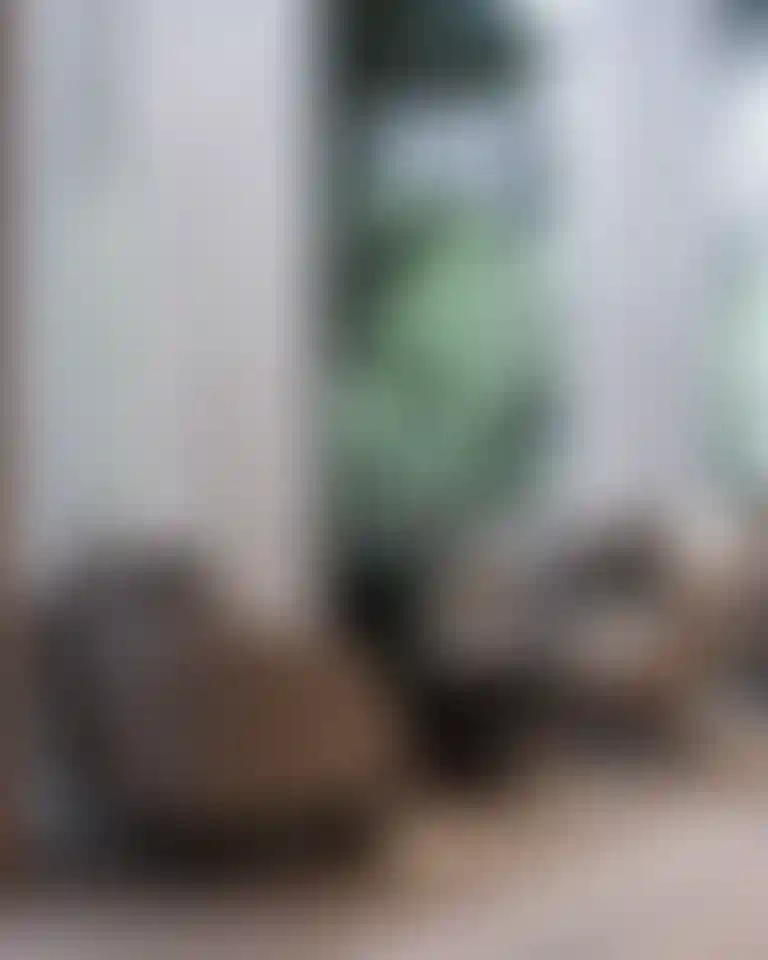 image for main block