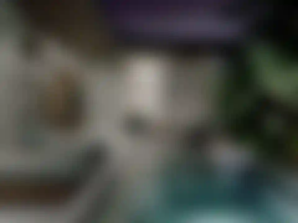 image for main block