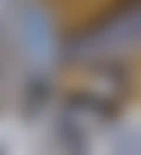 image for main block