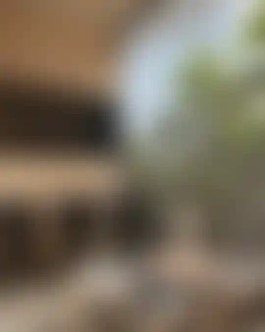 image for main block