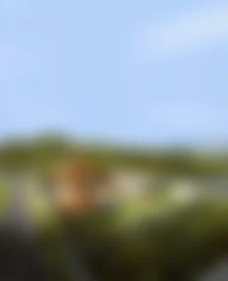 image for main block