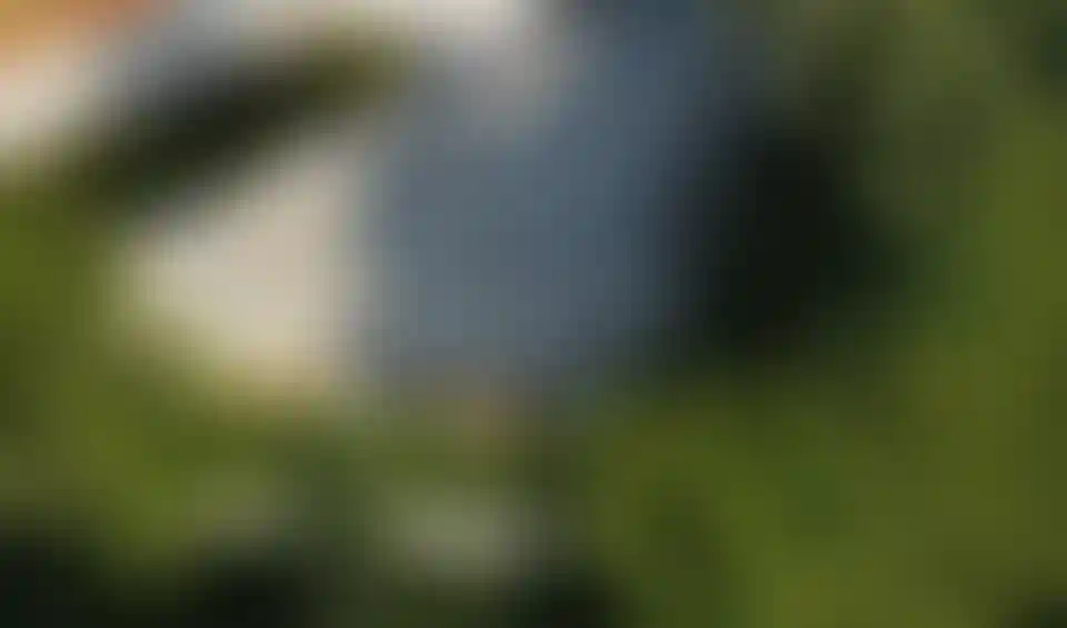 image for main block