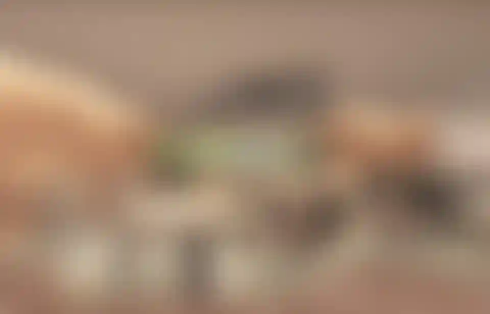 image for main block