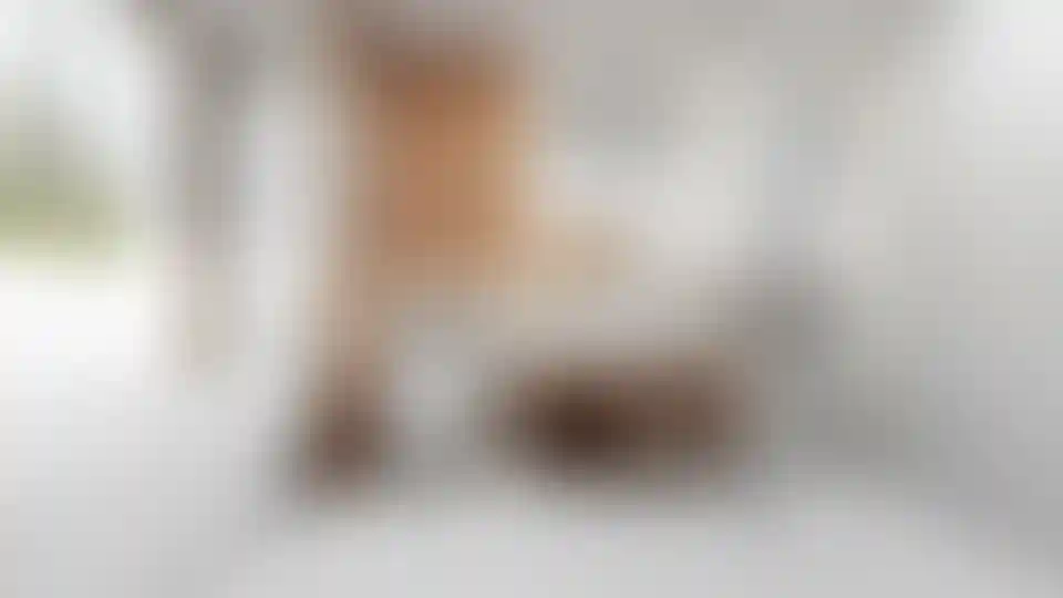 image for main block