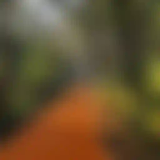 image for main block