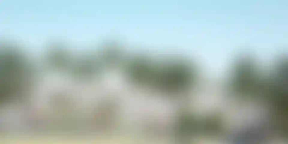 image for main block