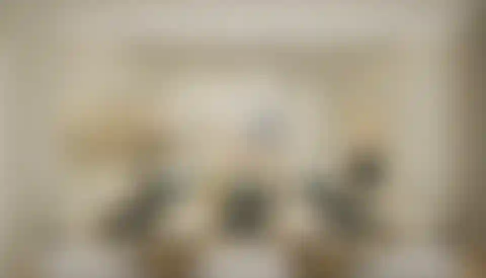 image for main block