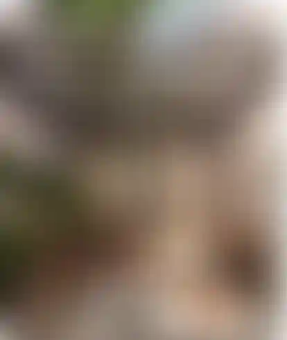 image for main block