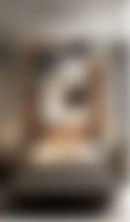 image for main block