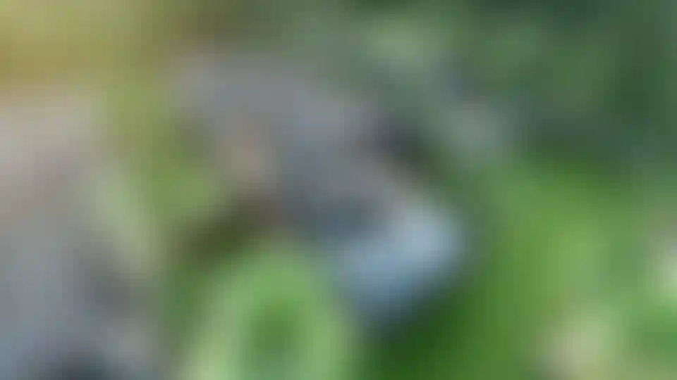 image for main block