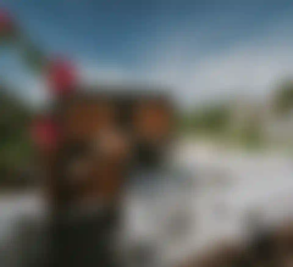 image for main block