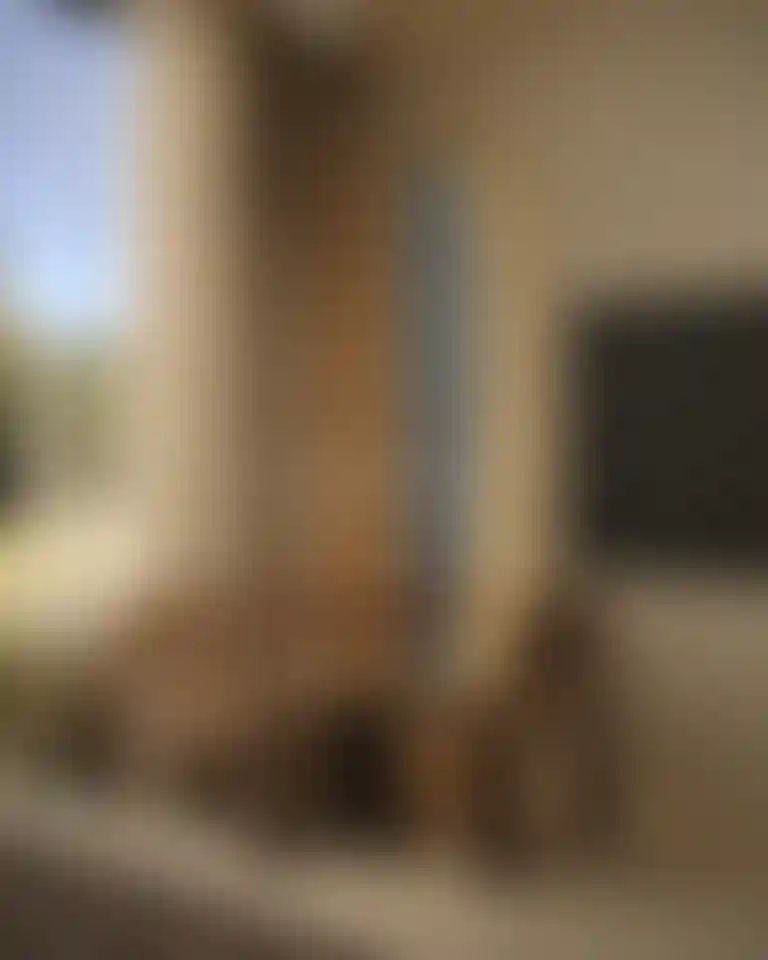 image for main block