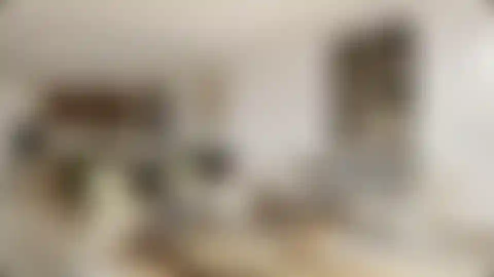 image for main block