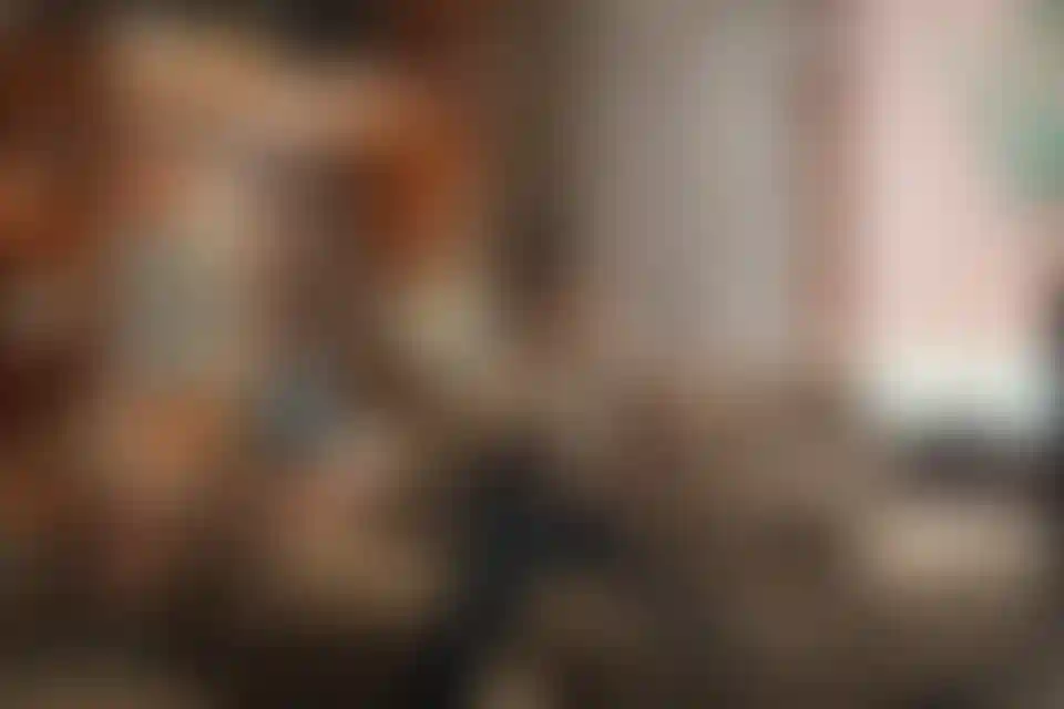 image for main block