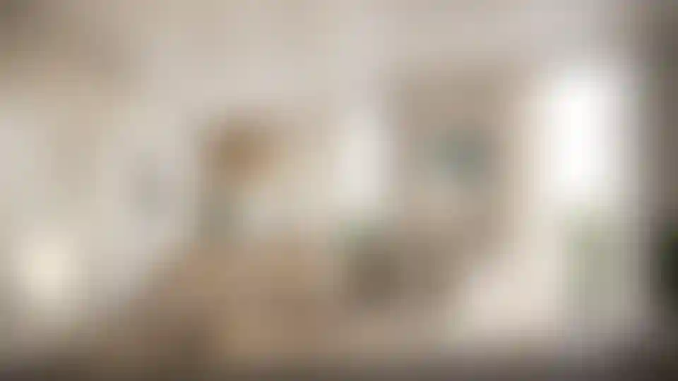 image for main block