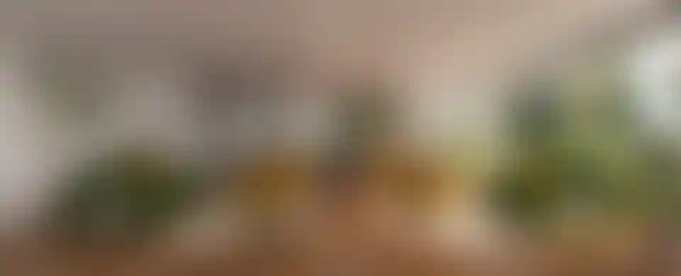 image for main block