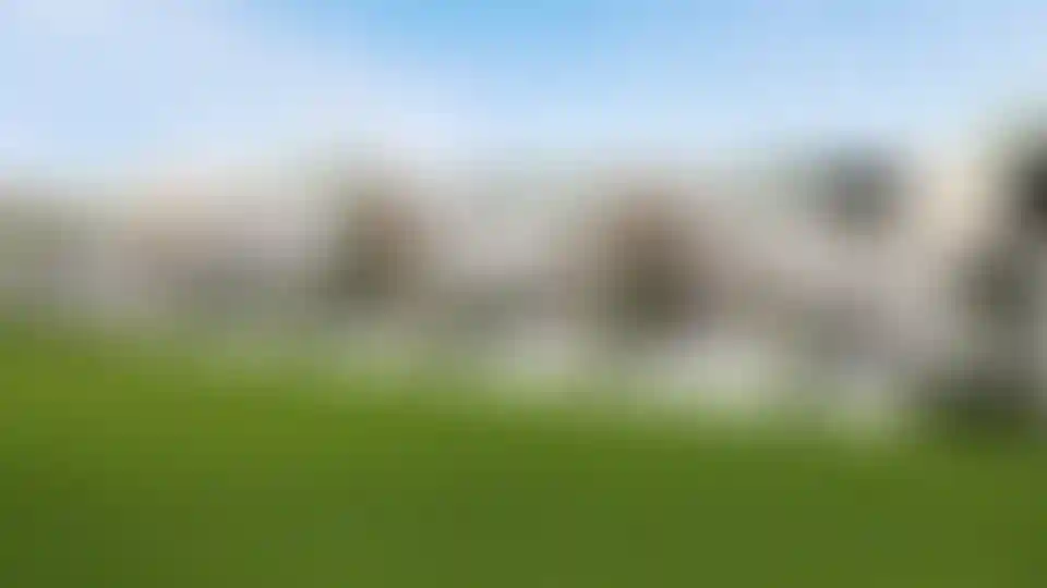 image for main block