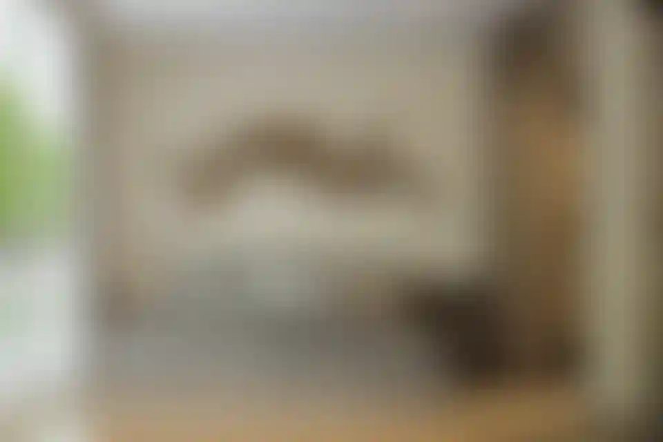 image for main block