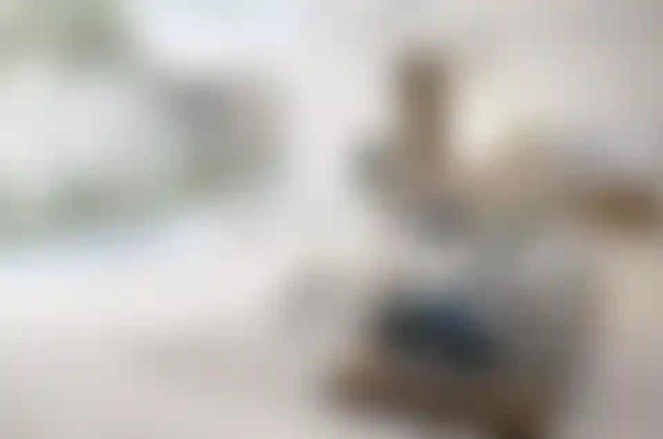 image for main block