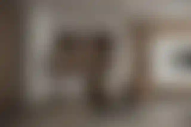 image for main block