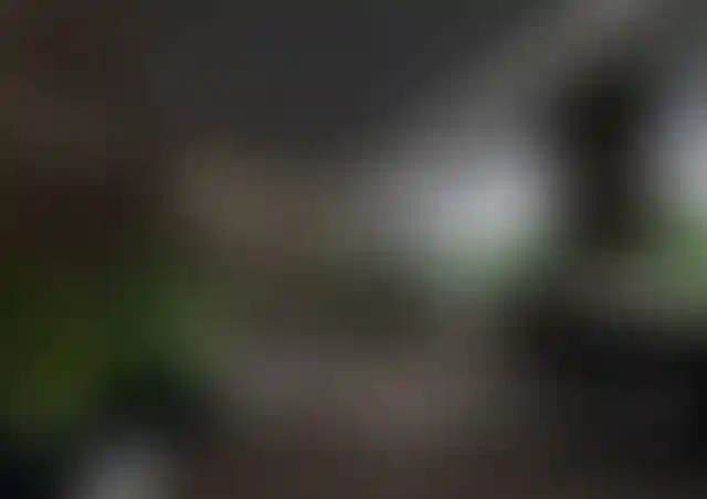 image for main block