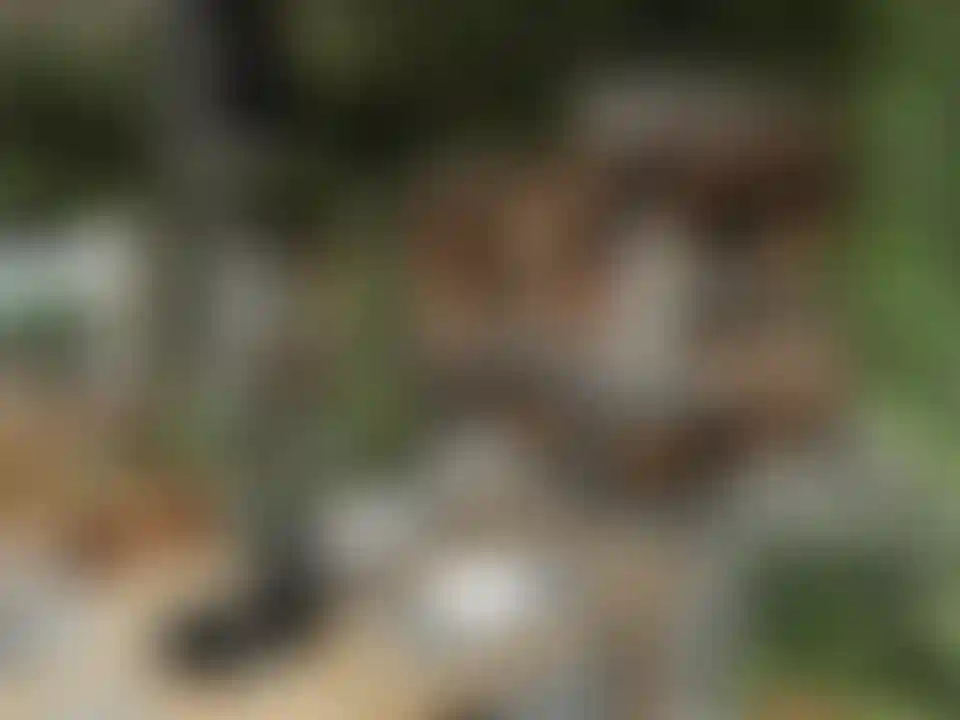 image for main block